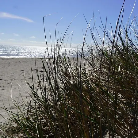 2 Sea C 72 Großenbrode